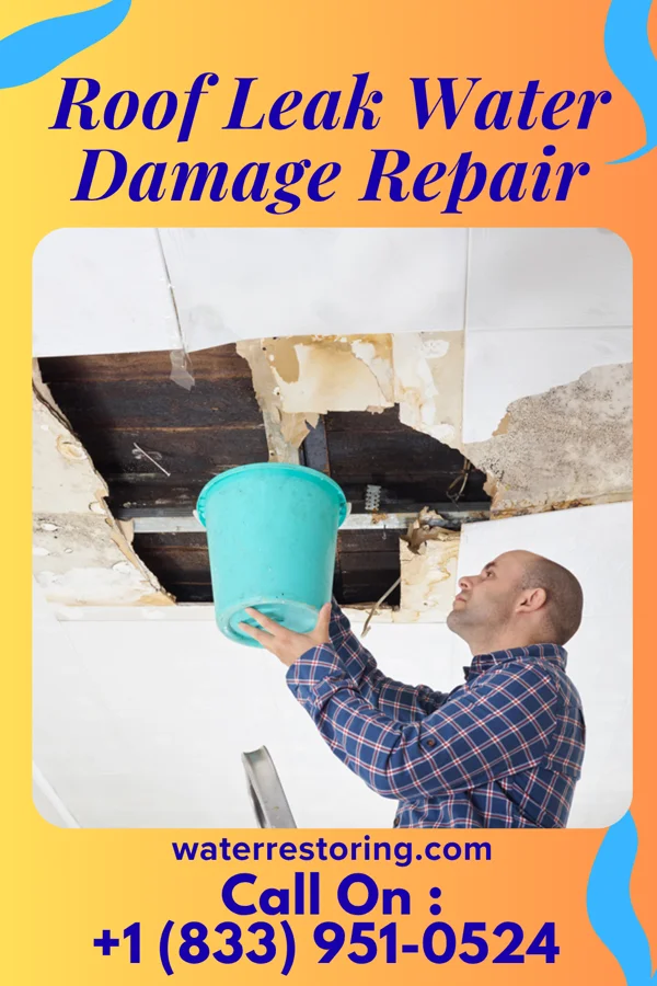 Roof Leak Water Damage Repair in Holladay, UT